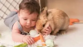 Pasqua 2018