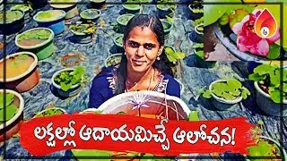 నీటి తొట్లలో తామరల పెంపకం, నెలకు 50వేలు ఆదాయం | Lotus farming business story | Amulya startups