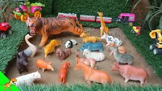 Muddy Animal Rescue! Clean and Learn About Tigers, Polar Bears, and More | Dino World TV