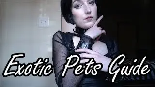 Exotic Pets in BDSM and Petplay