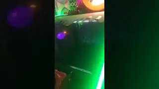 Шымкен Плаза 1.01.2019ж Ерасыл 7 жас Айаруша 5 жас