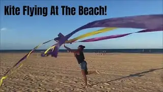 KITE FLYING At The Beach!! | Show #131