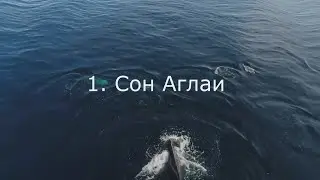 Сны пограничных клиентов. 1. Сон Аглаи