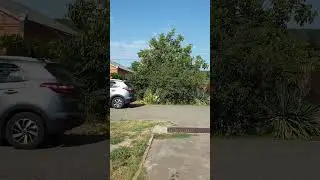 Новая песня 😅.