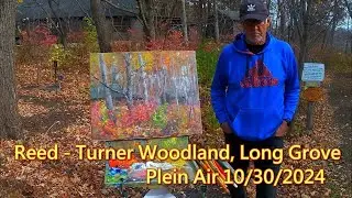 Reed - Turner Woodland, Long Grove  - Plein Air 10 /30 /2024