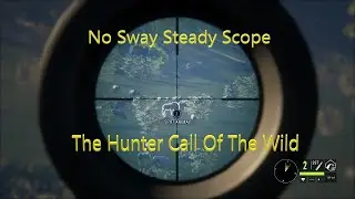Steady Scope COTW