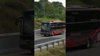 Bus Juragan 99 #busindonesia #automobile #busmania #bus #busholic #buspariwisata