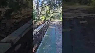 New Years eve hike in Central Florida #hiking #trailrunning #fitnessmotivation