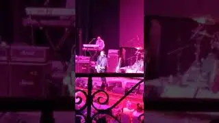 Tommy James & The Shondells - Hanky Panky (Live)