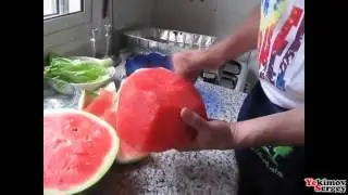 Учитесь делать это быстро! Жирновский форум ЖИРАФ