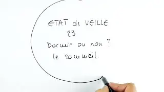 Dormir ou non ? Le sommeil (état de veille, épisode 23)