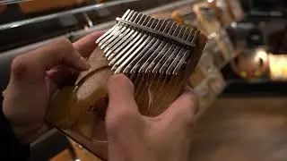 Калимба Seeds S17