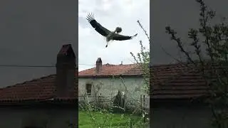 18 апреля 2023 г.