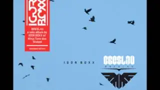 Igor Boxx - Downfall