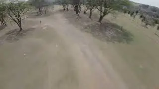 Learning to Fly 6s