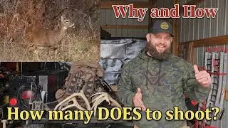 How Many Does to Shoot | KOAM Outdoors Strategies