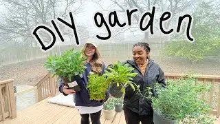 planning our new HOMESTEAD GARDEN in Austin, TX (native + pollinator plants)
