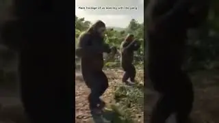 rare footage of us dancing with the gang #monkey #dance #slay #slayqueens #forest #trend #trending
