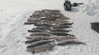 РЫБАЛКА НА ДАЛЬНЕМ ЗИМОВЬЕ (ЗАВЕРШЕНИЕ. ПОРА ДОМОЙ) часть 6