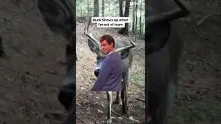 True deer story #hunting #viral #deer #turkey #whitetaildeer