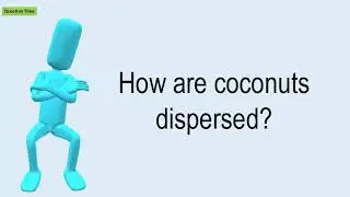 How Are Coconuts Dispersed?