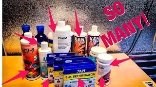 Understanding Aquarium Chemicals for Beginners