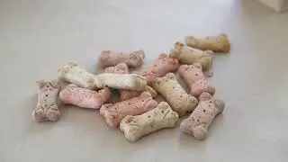 Top 5 Best Dog Food Brands 2025