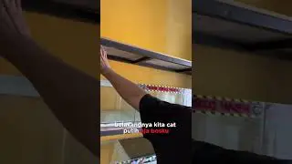 Channa fish Boss Boss Qu Moving to Jogja