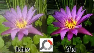Cara Edit Foto Kusam Menjadi Tajam dengan Photoscape