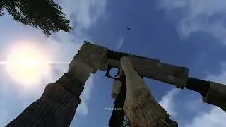 S T A L K E R   Anomaly Тестирование оружия для моей сборки.