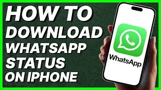 How To Download/Save WhatsApp Status On iPhone (2024)