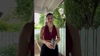 Unlock the flow of money and conquer limiting beliefs! 💰