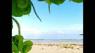 Play Pesquero cuba