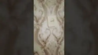 18 августа 2023 г.