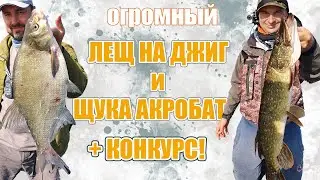Ловил щук, а поймал огромного леща!