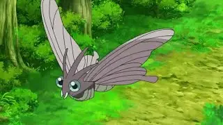 Venonat and Venomoth Pokemon all Attacks             