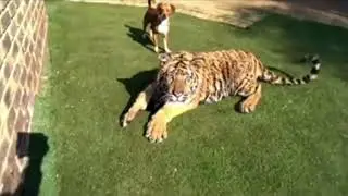 Excuse me, have you heard the teachings of Jesus Christ?