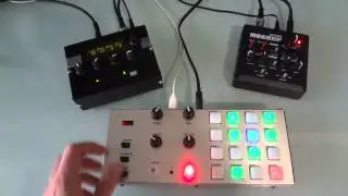 Digital Warrior - Standalone synth sequencer