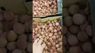 номш чи боша