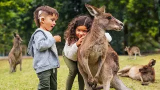Our Kids Got Surrounded by Kangaroos in Australia!!!