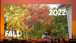 trees turning red /2022 /on my property zone 7a