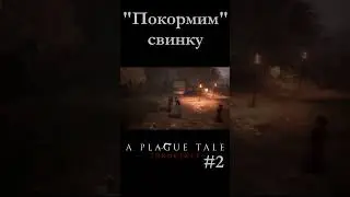 Давайте покормим свинку. Или покормим свинКОЙ? 