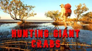 Hunting Mud Crabs at Sunset