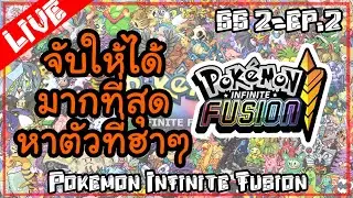 จับให้ได้ มากที่สุด  หาตัวที่ฮาๆ SS2 - EP.2  [🔴LIVE ] Pokemon Infinite Fusion