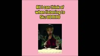 All I can think of when listening to SKZ DOMINO #shorts
