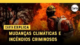 O que está causando seca na Amazônia e queimadas em São Paulo? | Carta Explica