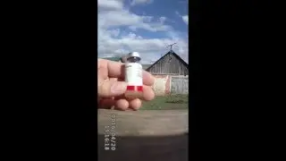 Вакцинация голубей. | Правила вакцинирования голубей