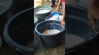tau gak berapa lama dan susahnya bikin jenang di khajatan orang