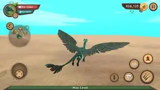 All Bosses In Dragon Sim///Not in order