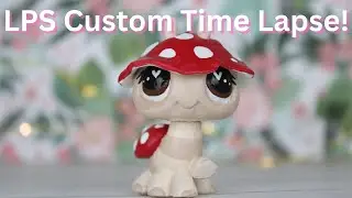 Mushroom Ladybug Custom Time Lapse